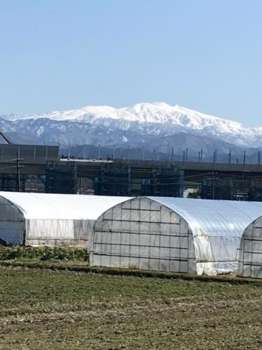 f:id:isehakupedia:20200221172125j:plain