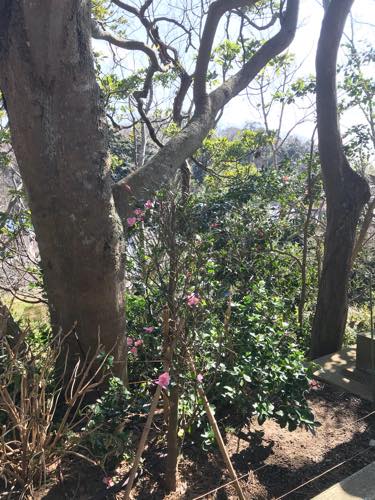 f:id:isehakupedia:20200225174627j:plain