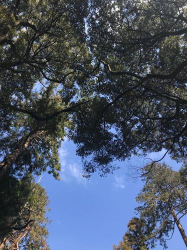 f:id:isehakupedia:20200225174640j:plain