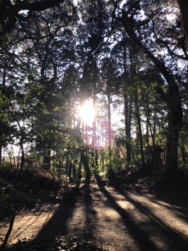 f:id:isehakupedia:20200225174709j:plain