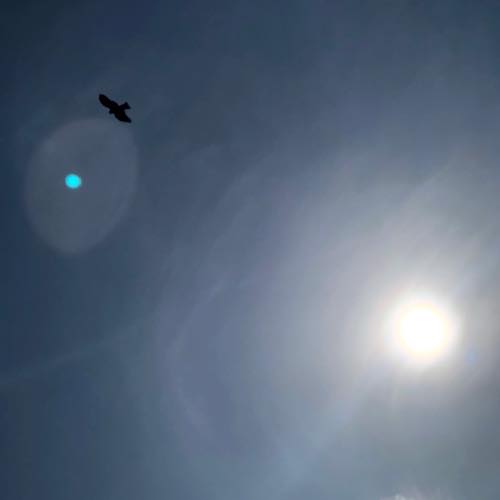 f:id:isehakupedia:20200302172058j:plain