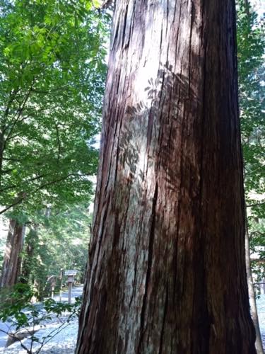 f:id:isehakupedia:20200305172214j:plain