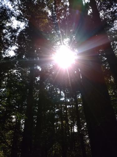 f:id:isehakupedia:20200305172219j:plain