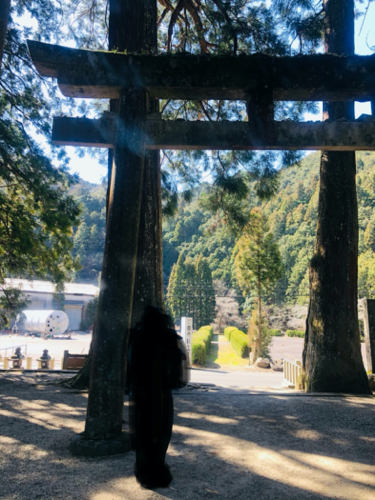 f:id:isehakupedia:20200306172825p:plain