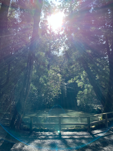 f:id:isehakupedia:20200310175521p:plain