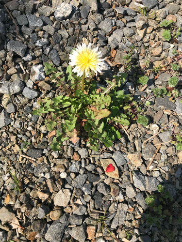 f:id:isehakupedia:20200319193705p:plain