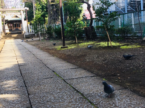 f:id:isehakupedia:20200321160312p:plain f:id:isehakupedia:20200321160312p:plain