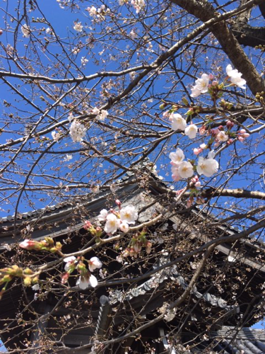 f:id:isehakupedia:20200321160401p:plain f:id:isehakupedia:20200321160401p:plain