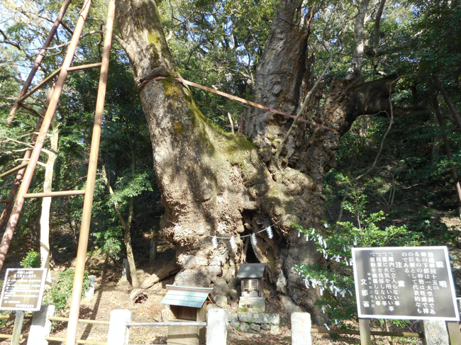 f:id:isehakupedia:20200324165543p:plain f:id:isehakupedia:20200324165543p:plain
