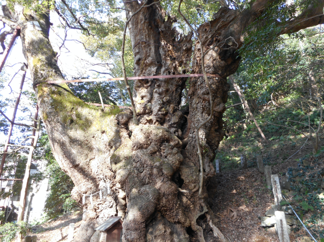 f:id:isehakupedia:20200324165551p:plain f:id:isehakupedia:20200324165551p:plain