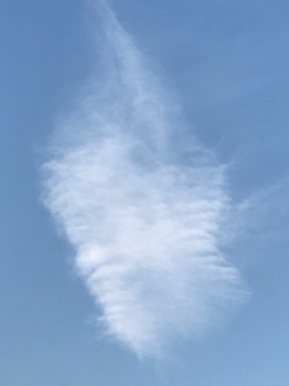 f:id:isehakupedia:20200605092543p:plain