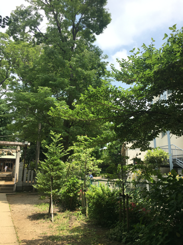 f:id:isehakupedia:20200607154452p:plain