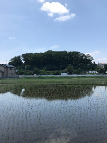 f:id:isehakupedia:20200611142320p:plain