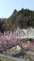 20090419150005