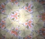 f:id:isemba:20170730150032j:plain f:id:isemba:20170730150032j:plain