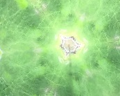 f:id:isemba:20210718183450j:plain