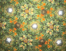 f:id:isemba:20211004181332j:plain