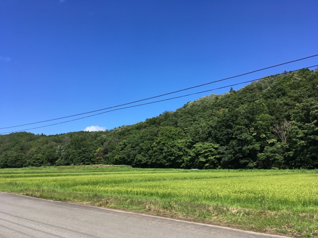 f:id:iseya88:20180819170719j:plain