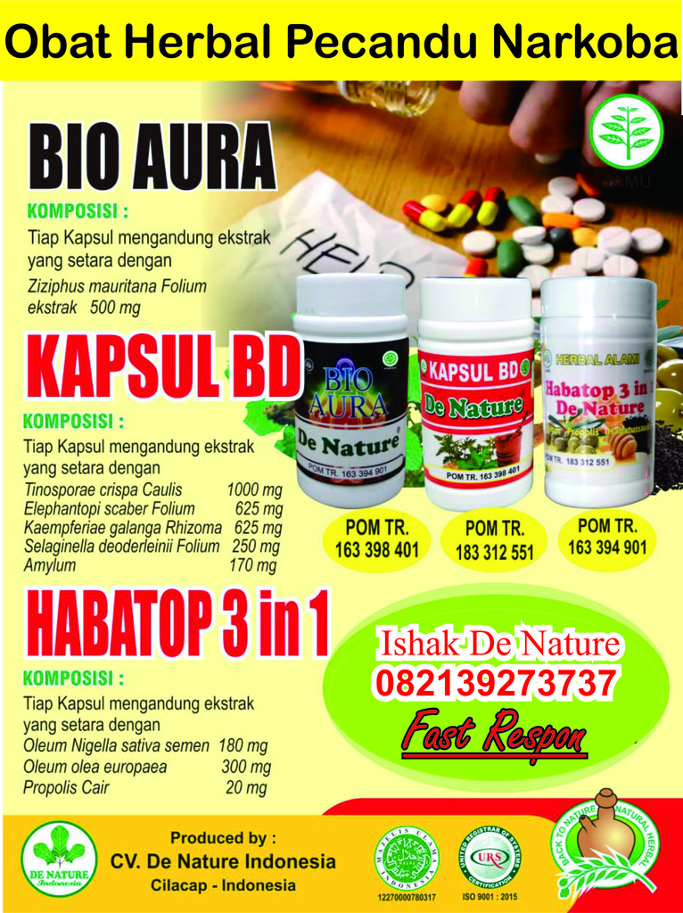 f:id:ishakmohamad817:20190117114405j:plain