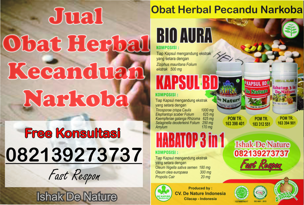 f:id:ishakmohamad817:20190211160902j:plain