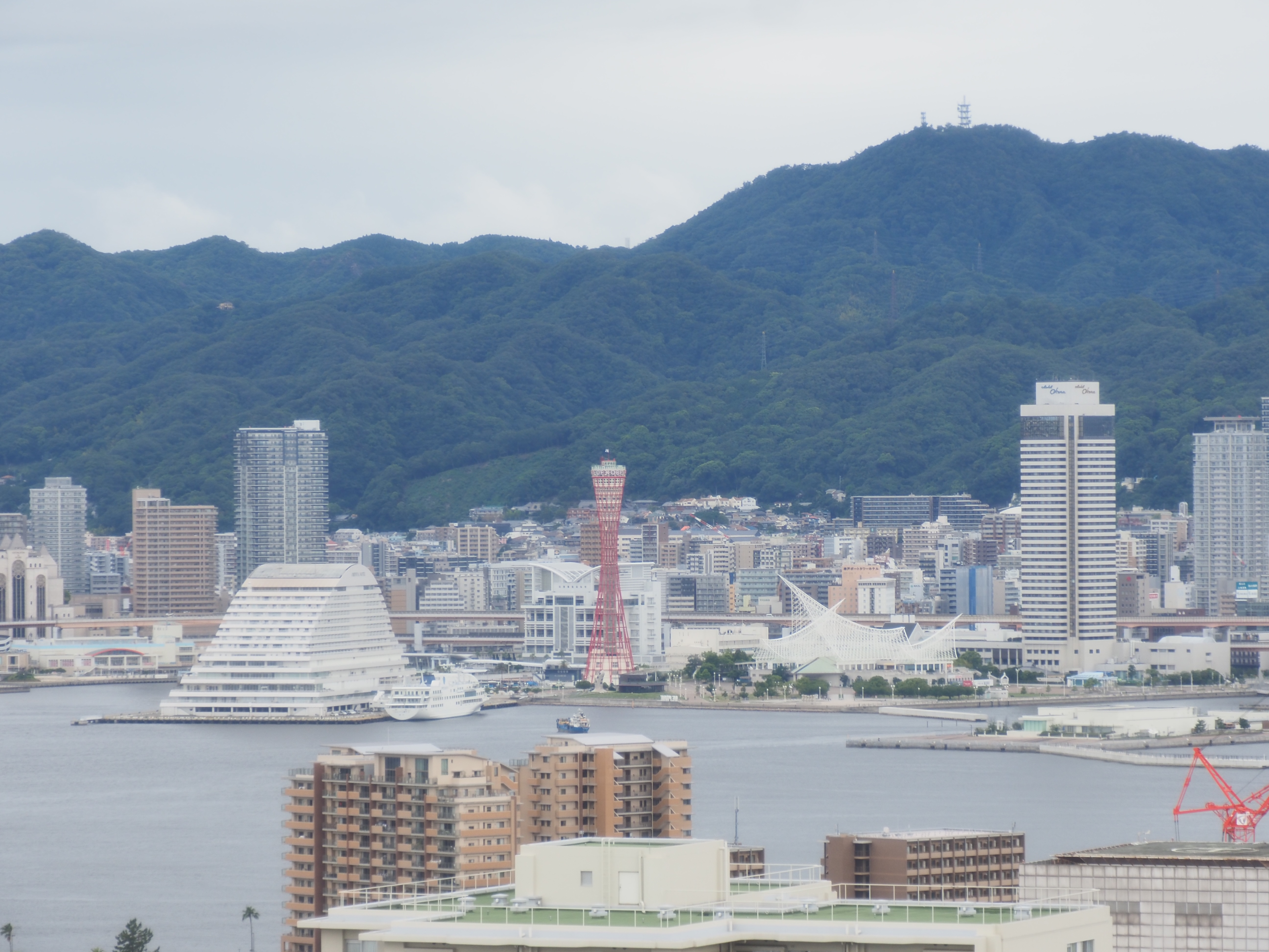 f:id:ishibahomare:20260707085517j:image
