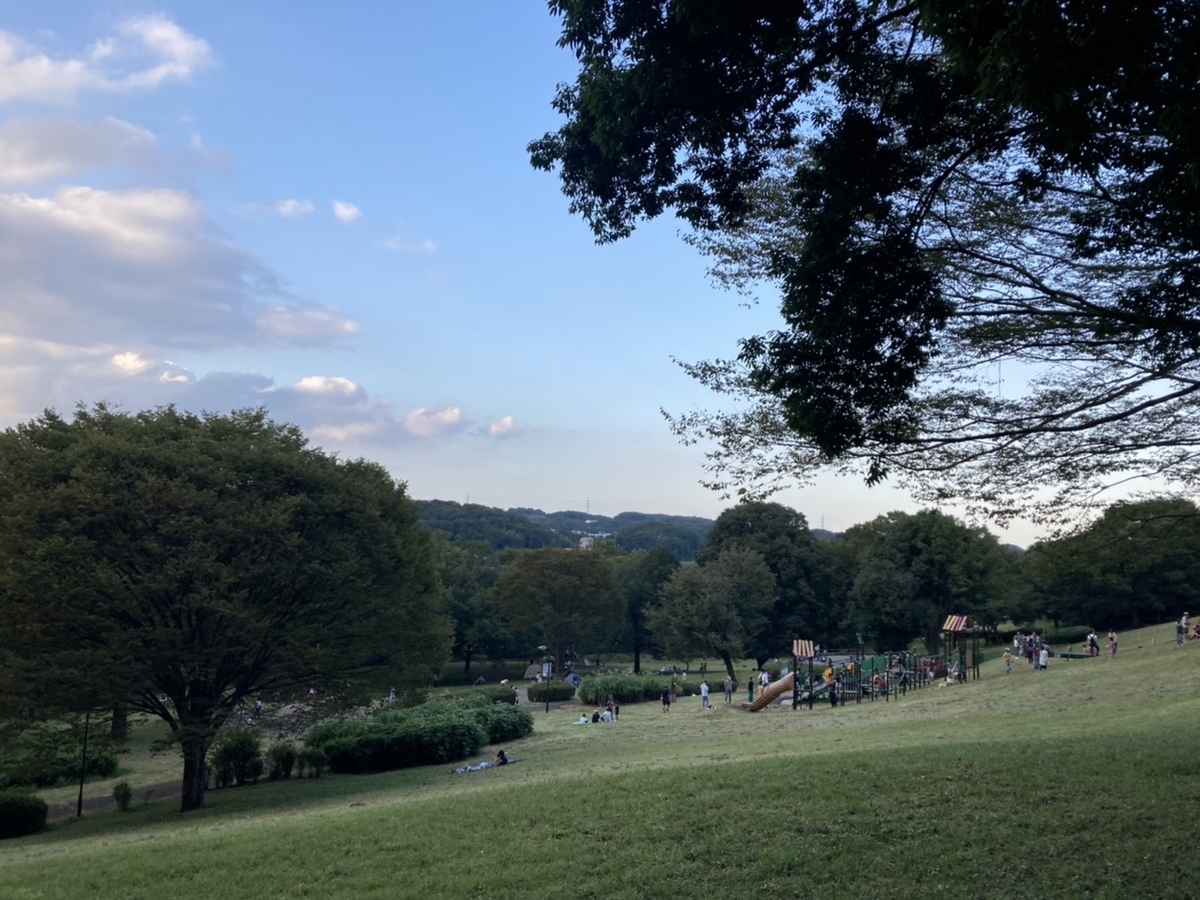 f:id:ishidai812:20211004000302j:plain