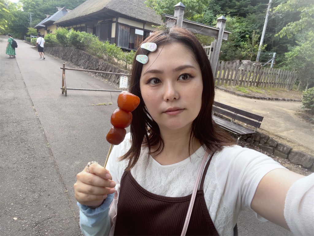 f:id:ishidapi:20231004191120j:image