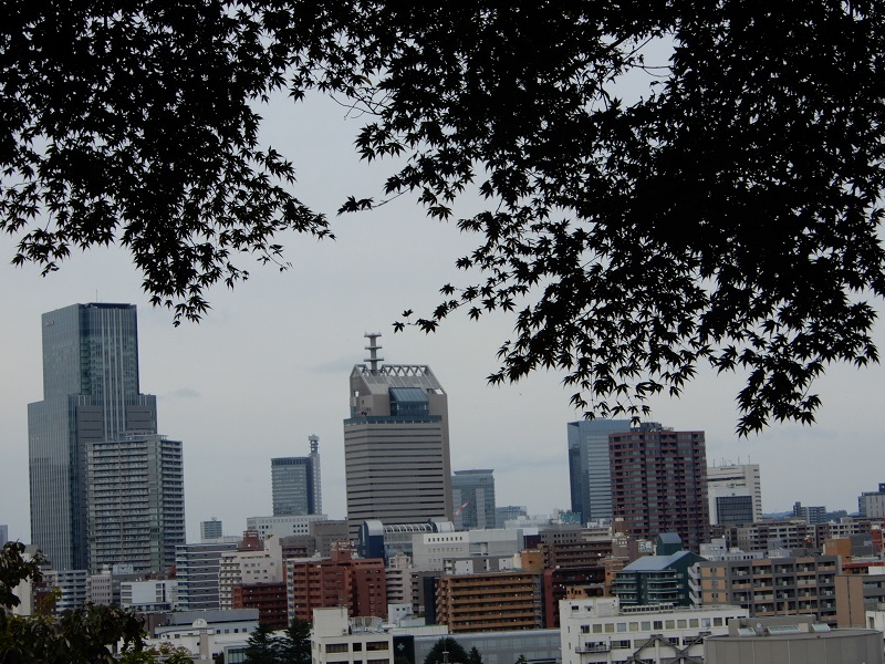 f:id:ishidaya-sendai:20211102204843j:plain