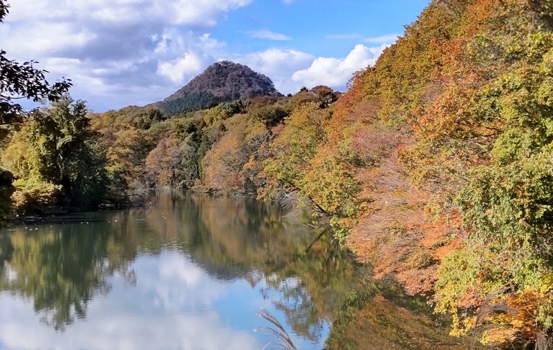 f:id:ishidaya-sendai:20211106205158j:plain