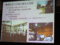 f:id:ishiden4376:20110709104028j:image:small f:id:ishiden4376:20110709104028j:image:small