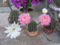 f:id:ishiden4376:20110713050445j:image:small