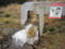 f:id:ishiden4376:20111212112223j:image:small f:id:ishiden4376:20111212112223j:image:small