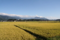 西回り線から高社山を望む