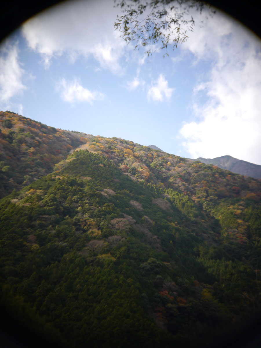 f:id:ishigaki10:20210516112858j:plain