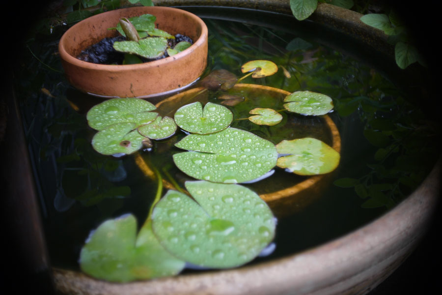 f:id:ishigaki10:20210516113508j:plain