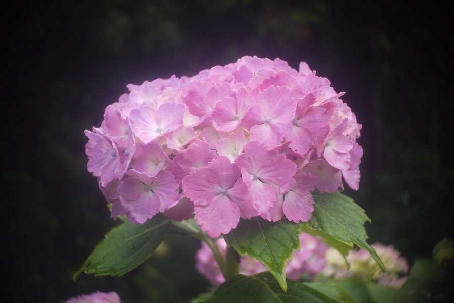 f:id:ishigaki10:20210516114221j:plain