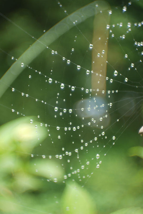 f:id:ishigaki10:20210516114640j:plain