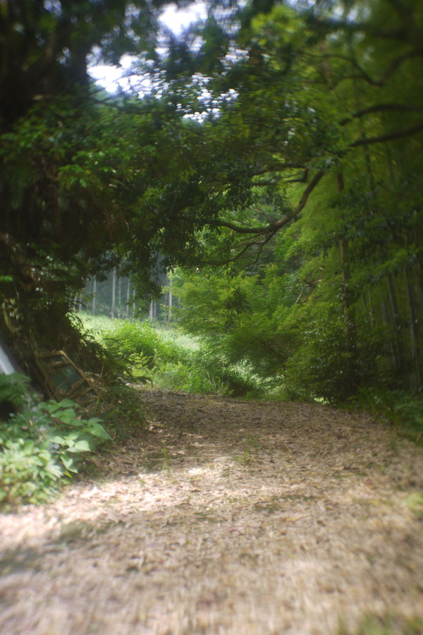 f:id:ishigaki10:20210516114722j:plain