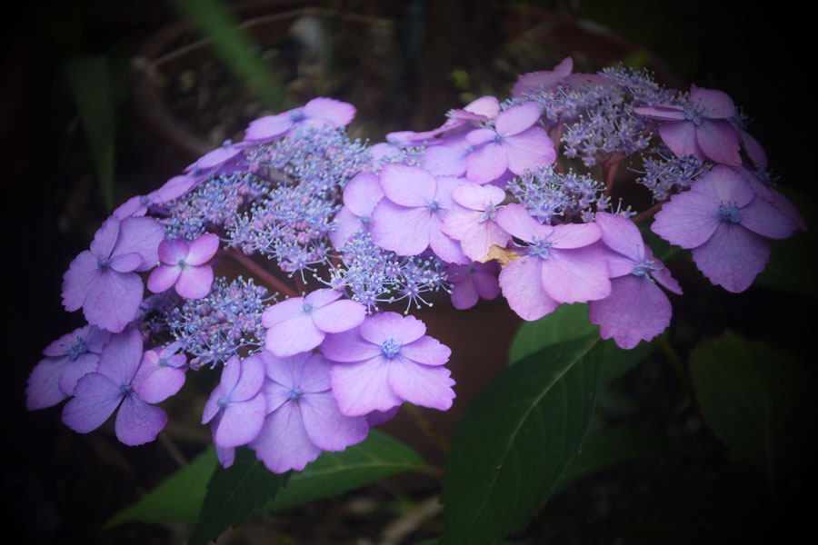 f:id:ishigaki10:20210516115428j:plain