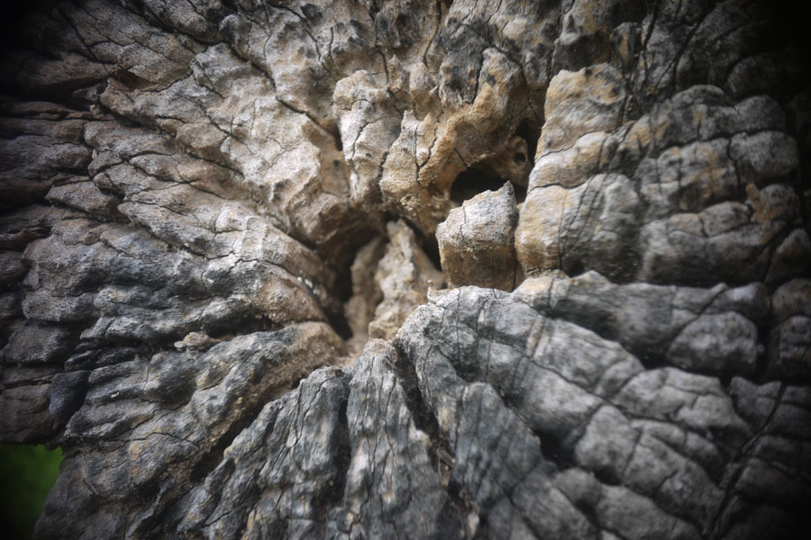 f:id:ishigaki10:20210516115548j:plain