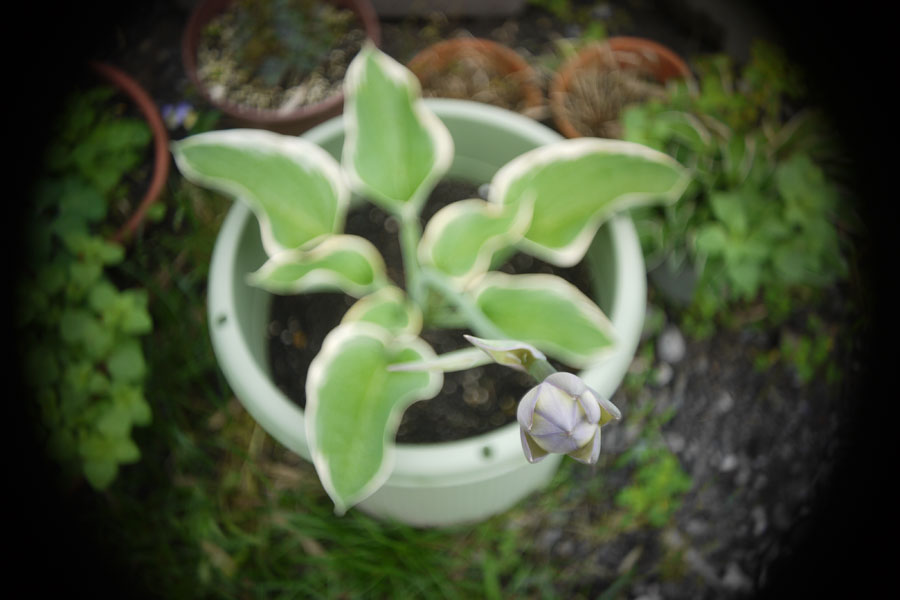 f:id:ishigaki10:20210516121000j:plain