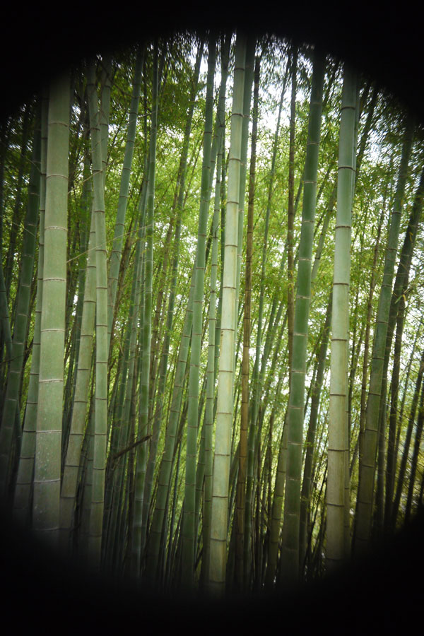 f:id:ishigaki10:20210516121020j:plain