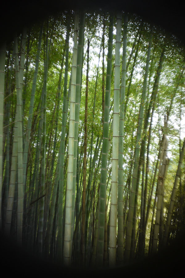 f:id:ishigaki10:20210516121731j:plain