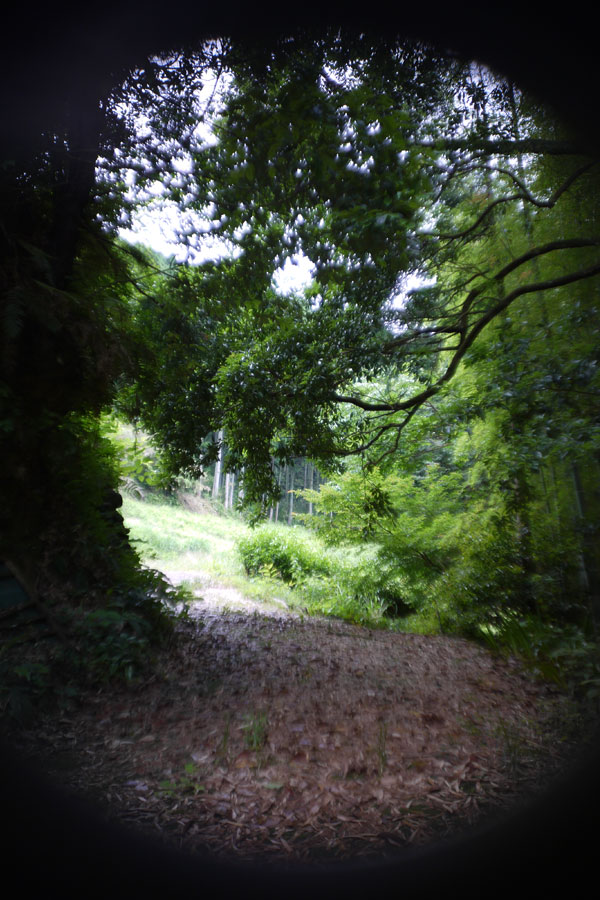 f:id:ishigaki10:20210516121751j:plain