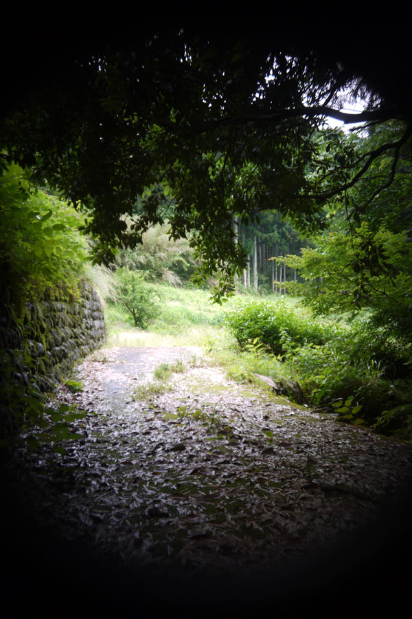 f:id:ishigaki10:20210516122219j:plain