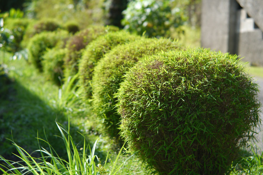 f:id:ishigaki10:20210516123808j:plain