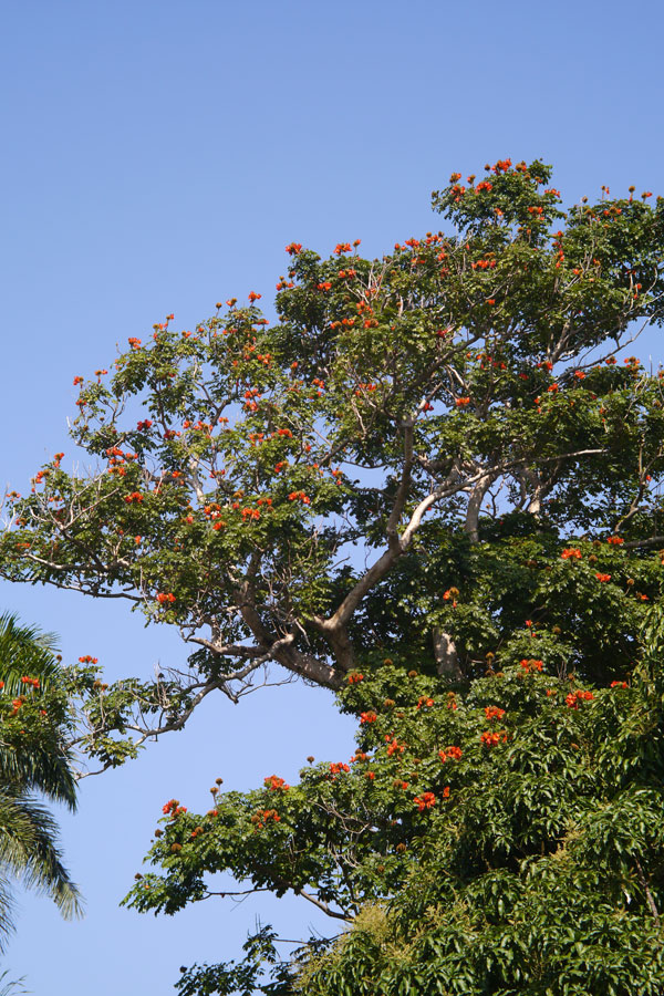 f:id:ishigaki10:20210516123826j:plain