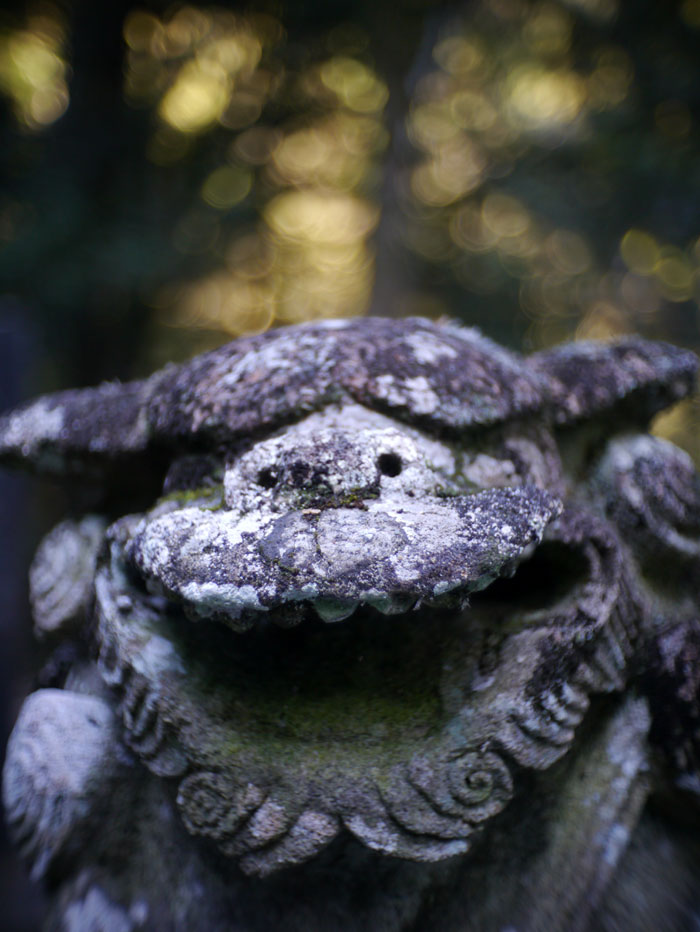 f:id:ishigaki10:20210516131604j:plain