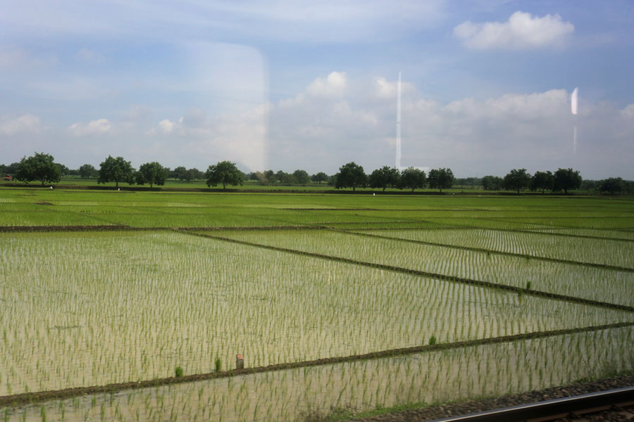 f:id:ishigaki10:20210519202814j:plain