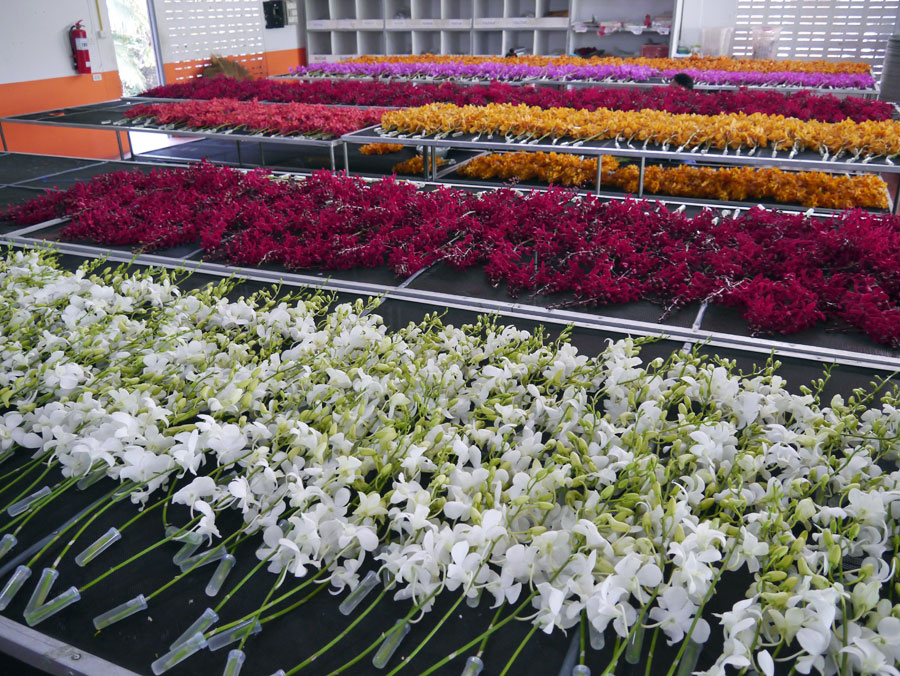 f:id:ishigaki10:20210729180724j:plain